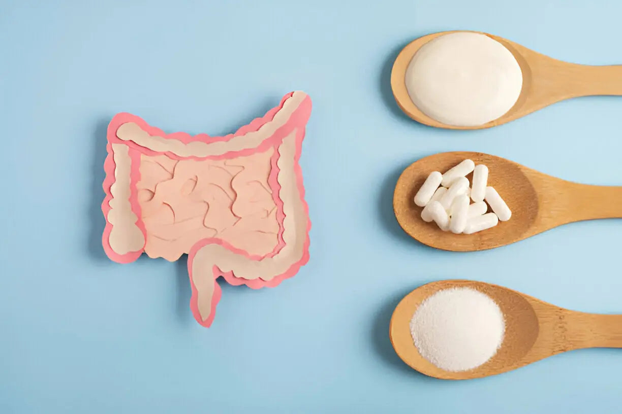 Debunking Myths: What You Need to Know About Probiotic Supplements