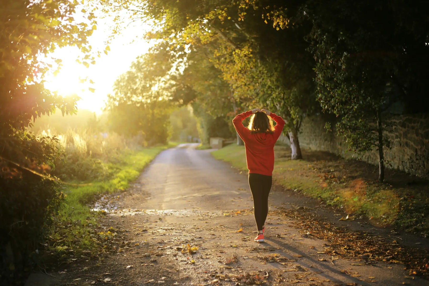 How Supplements Can Help You Improve Your Energy Levels