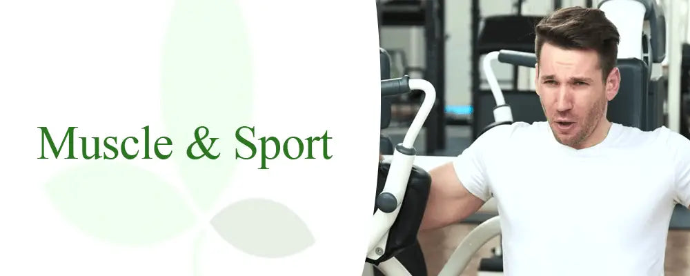 https://cdn.shopify.com/s/files/1/0260/9355/1690/files/man_working_out_on_weight_machine.png?v=1595154035
