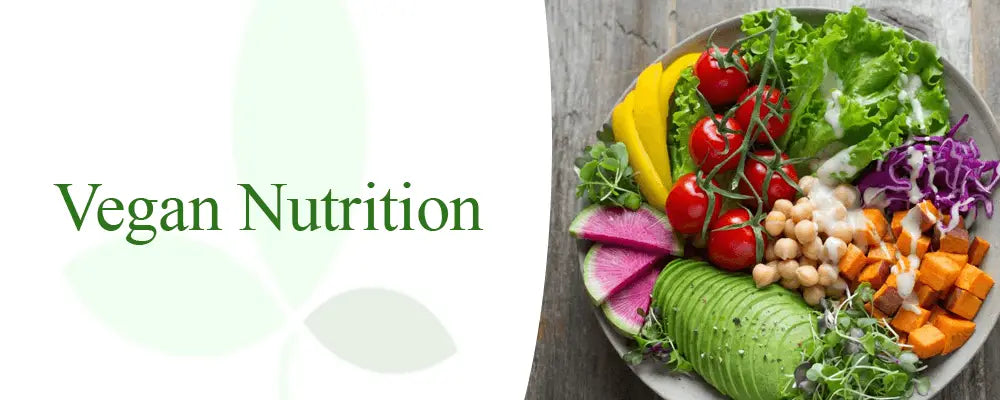 https://cdn.shopify.com/s/files/1/0260/9355/1690/files/Vegan_nutrition_food_on_a_plate.png?v=1595276428