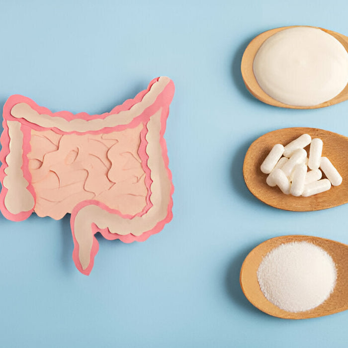 Debunking Myths: What You Need to Know About Probiotic Supplements