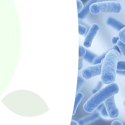 Why You Should Consider Probiotics For Your Health