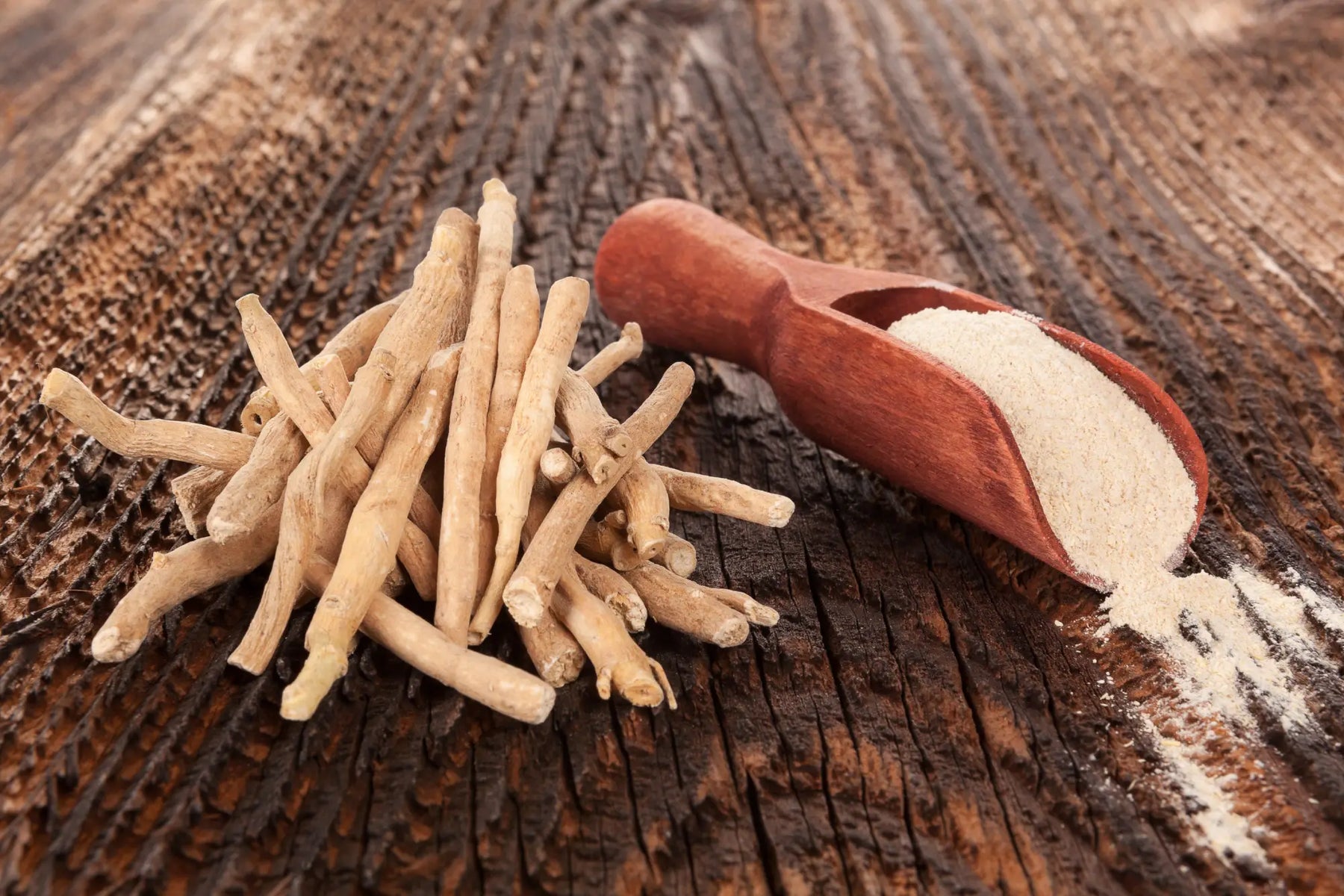 Ashwagandha Root and Powder On A Table 