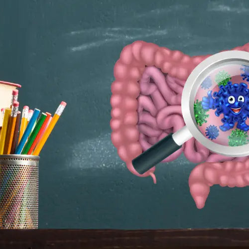 Back to school: Introducing GOOD bacteria into your child’s diet
