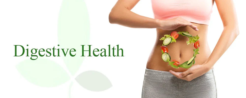 Healthy Gut Healthy You – UK Digestive Supplements