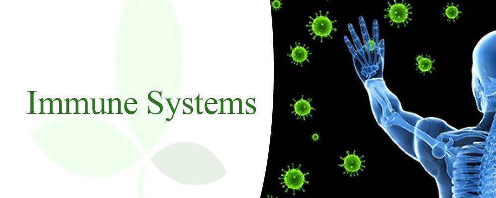 https://cdn.shopify.com/s/files/1/0260/9355/1690/files/Immune_systems_support.png?v=1595151837